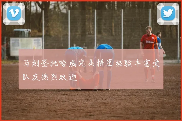 马刺签托哈成完美拼图经验丰富受队友热烈欢迎