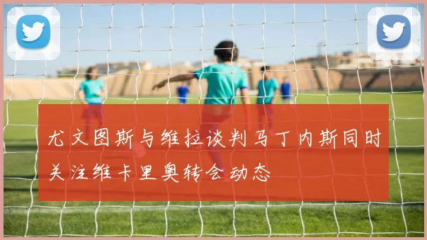 尤文图斯与维拉谈判马丁内斯同时关注维卡里奥转会动态