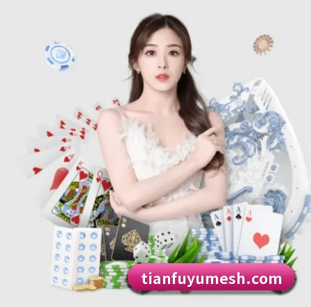 品牌创立 - 天富娱乐正式成立,获得国际权威机构颁发的合法运营资质,开启华人在线休闲娱乐新篇章。